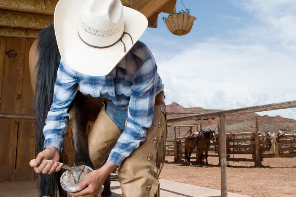 casqueamento-equino
